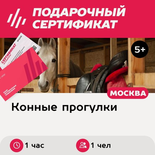Изображение товара Подарочный сертификат Индивидуальная конная прогулка, 1 чел, будние дни (1 час)