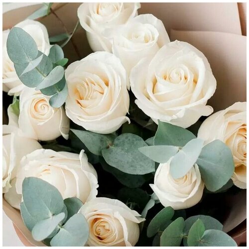 11 белых роз с эвкалиптом (ваза в подарок, условия акции см. в описании)