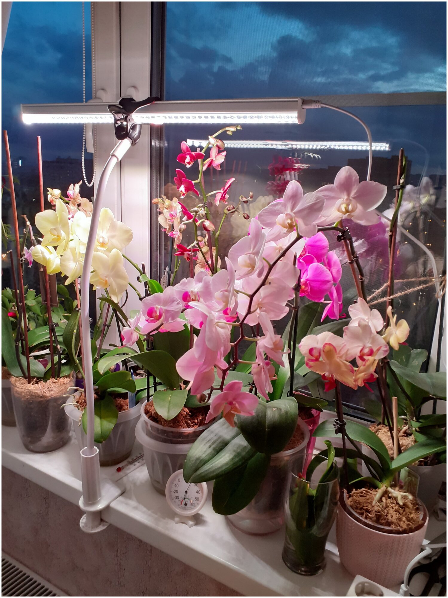 Кронштейн для фитолампы настольный высота 100 см черный зажим лампы