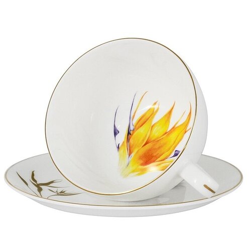Чашка с блюдцем Strelitzia 250 мл в подарочной упаковке, костяной фарфор, Anna Lafarg Emily, AL-603S-E11