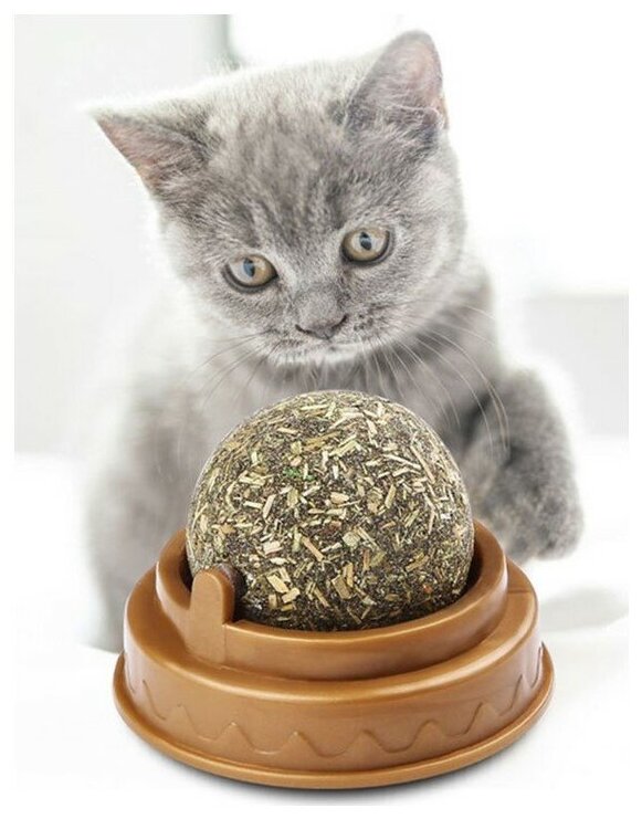 Лакомство игрушка для кошек с кошачьей мятой, шарик с кошачьей мятой, кошачья мята - фотография № 17