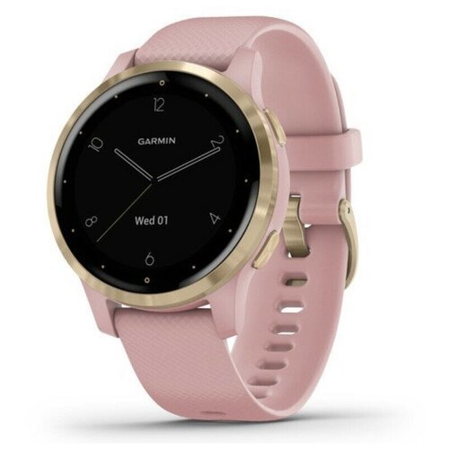 Умные часы Garmin vivoactive 4s серые с серебристым безелем 3794000₽