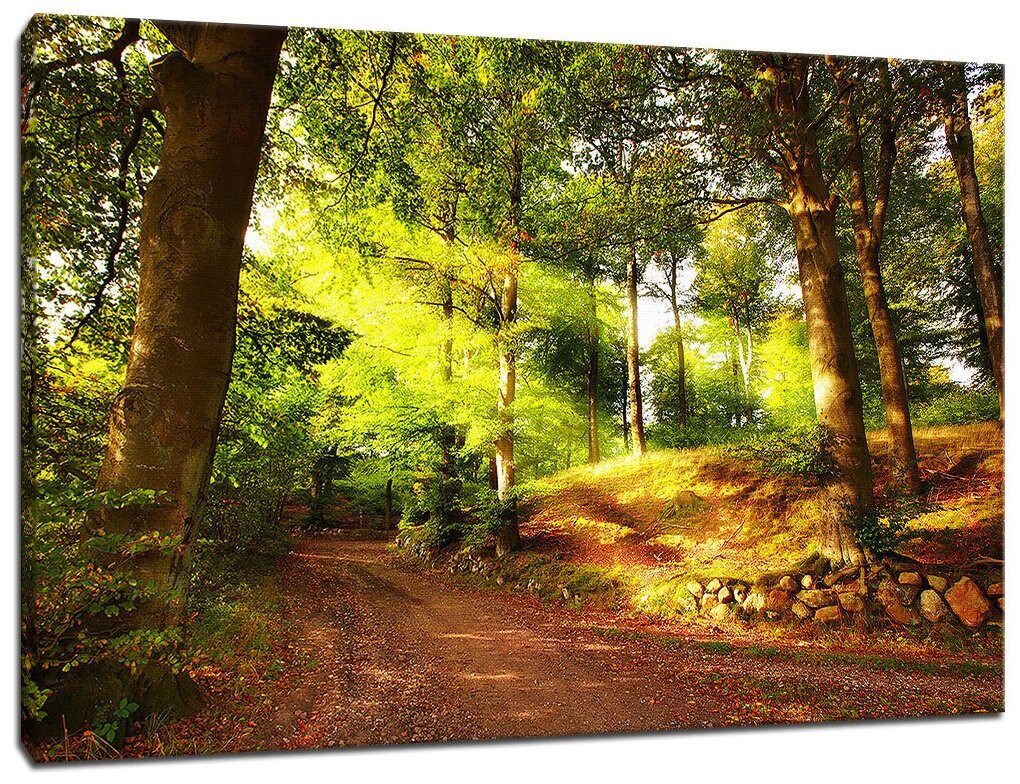 Картина Уютная стена "Яркие лучи солнца в лесу" 100х60 см