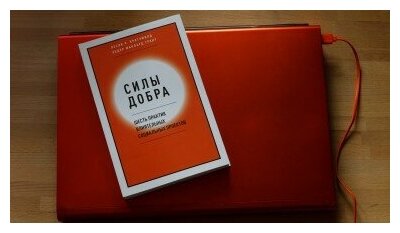 Силы добра (Кратчфилд Лесли Р., Маклауд Грант Хедер) - фото №4
