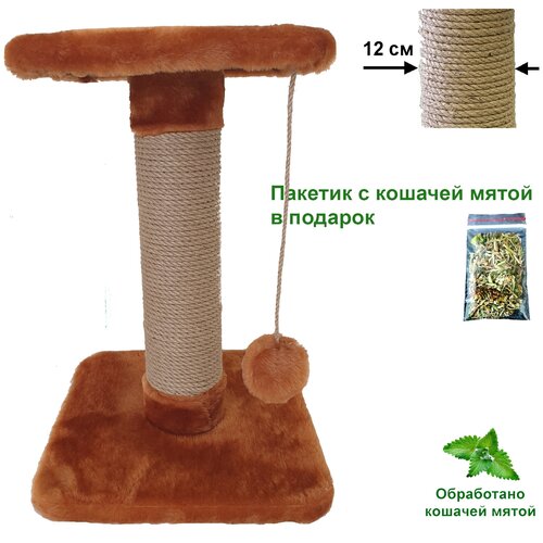 Когтеточка - столбик 