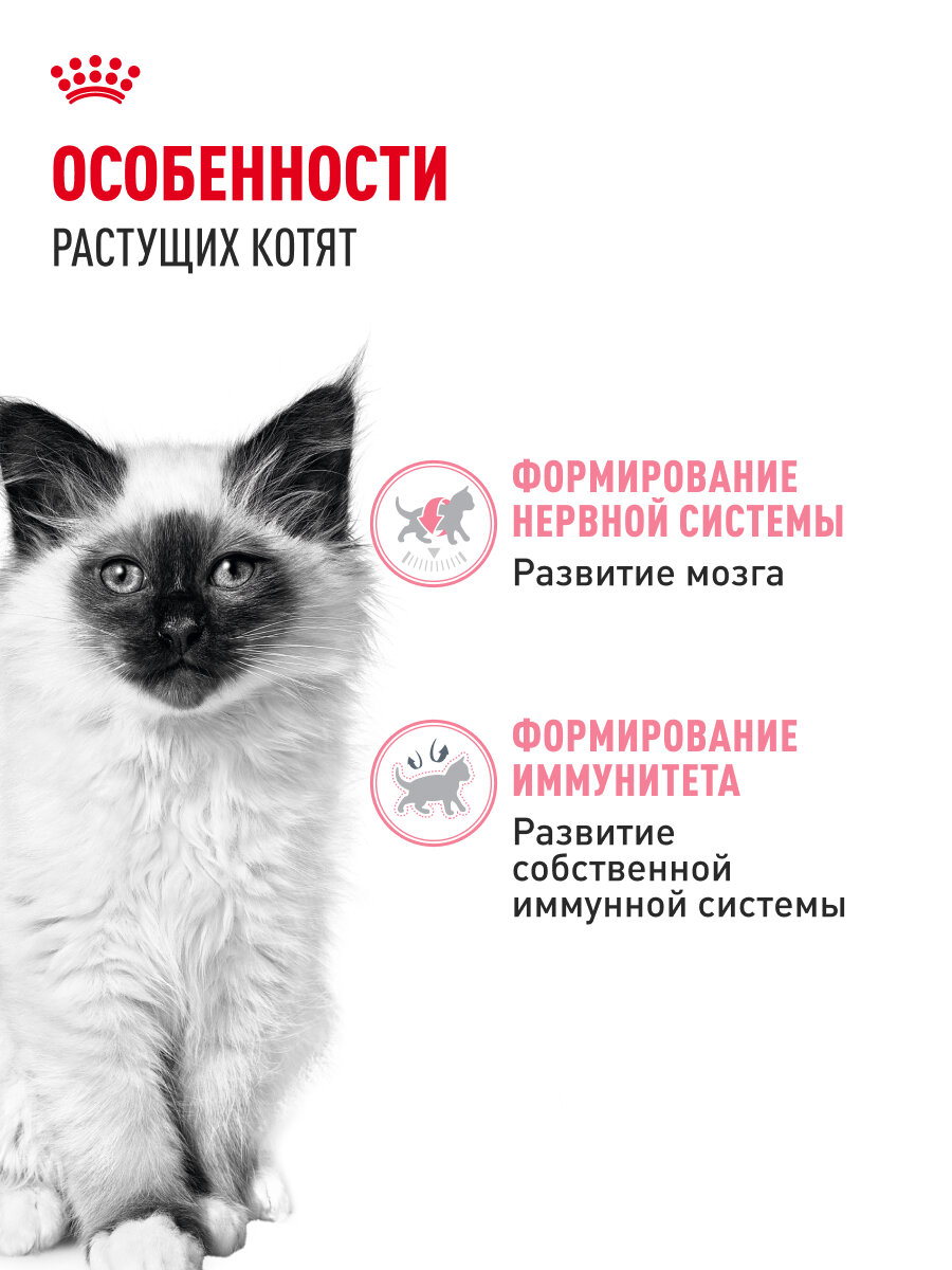 Корма Для Кошек Xiaomi Влажный корм для котят Royal Canin Kitten кусочки в желе, 28 шт по 85 г