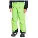 Брюки сноубордические Quiksilver Boundry Yth Pt B Snpt Jasmine Green (Возраст:8)