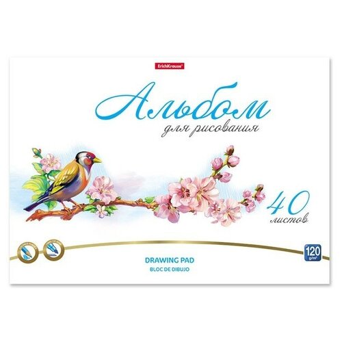 Альбом для рисования А4, 40 листов на клею ErichKrause Birds, обложка мелованный картон, жёсткая подложка, блок 120 г/м2