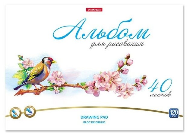 Альбом для рисования А4, 40 листов на клею ErichKrause Birds, обложка мелованный картон, жёсткая подложка, блок 120 г/м2