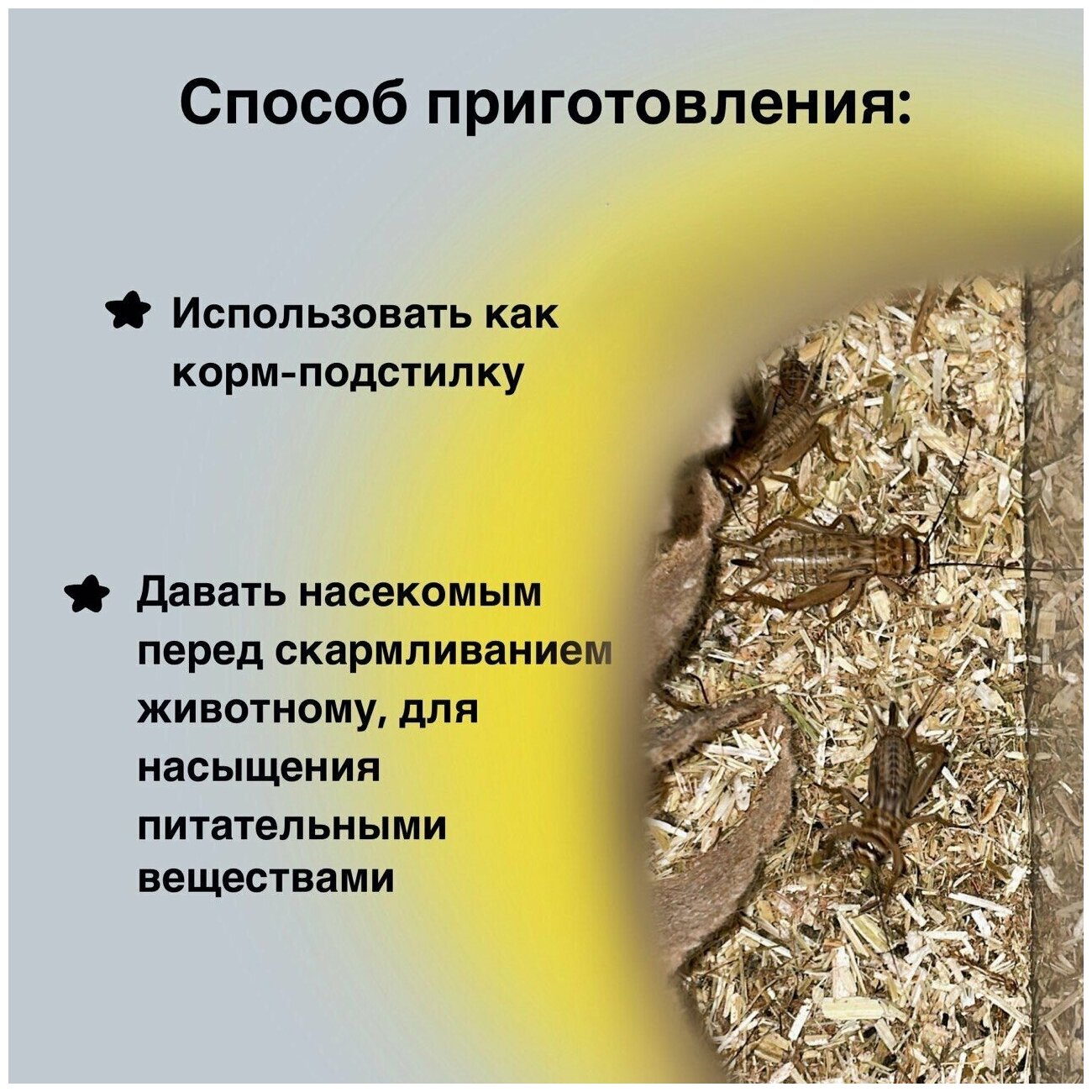 Корм для кормовых насекомых (сверчков, тараканов и других) с повышенной пищевой ценностью ReptoDiet/Рептодиет - фотография № 2