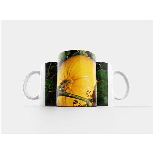 фото Кружка "тыква, давить, овощ" 320 мл lotsprints