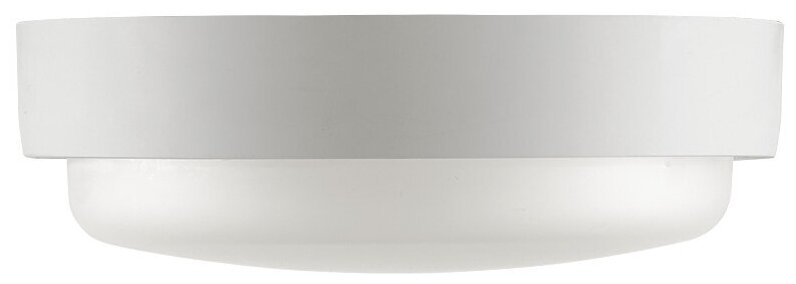 Светодиодный светильник WOLTA LCL04-18W-R21-4K-SM 18Вт 4000К IP65 с датчиком - фотография № 4