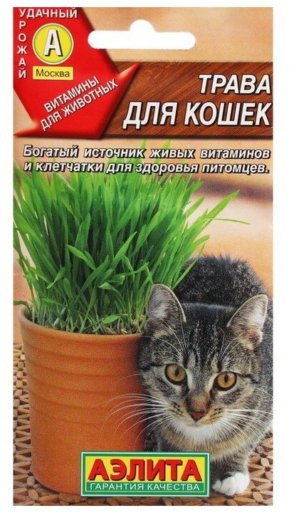 Семена "Трава для кошек", ц/п, 20 г - фотография № 3