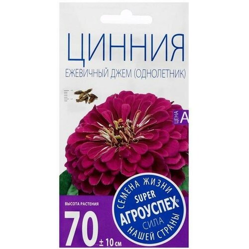 Семена цветов Цинния Ежевичный джем, пурпурная 0,3 г 12 упаковок джем evod персик 345 г