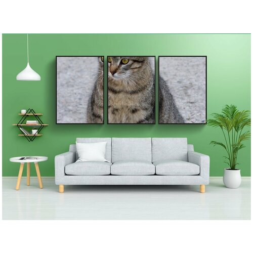 фото Набор модулных постеров для интерьера "кот, кошачий, беременная" 60x90 см. в тубусе, без рамки lotsprints