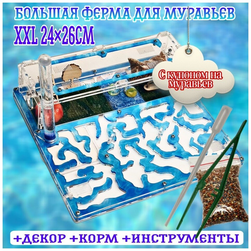 Большая муравьиная ферма Вода XXL Люкс 26х24