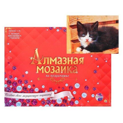 Купить Алмазная мозаика 30 x 40 см, полное заполнение, с подрамником Чёрно-белый котёнок , Рыжий кот