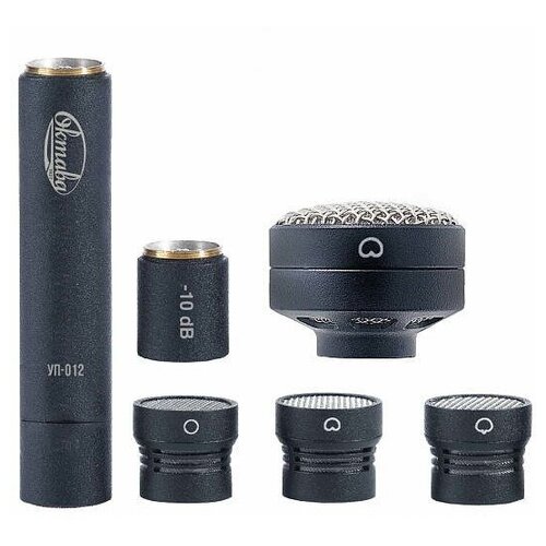 Микрофон студийный конденсаторный Октава МК-012-20 стереопара черный в деревянном футляре 9220000₽