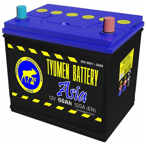 фото Аккумулятор tyumen battery asia 60 ач обратная полярность