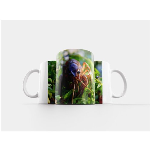 фото Кружка "омар, рак, креветка" 320 мл lotsprints