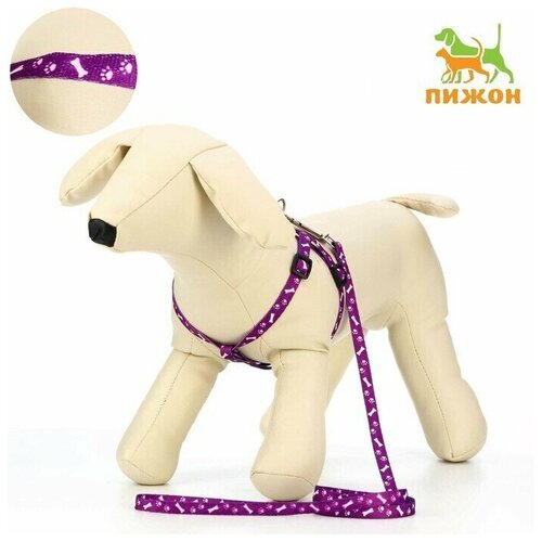 Шлейка-поводок для мелких собак, 1-слойный, шлейка 28-47 см, поводок 120 см, цвет фиолетовый