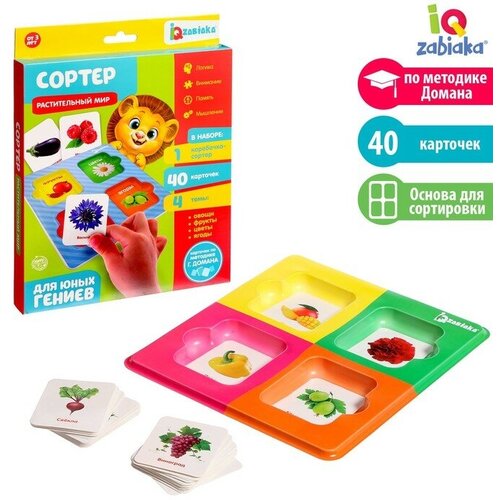 Сортер Растительный мир с карточками Домана 618₽