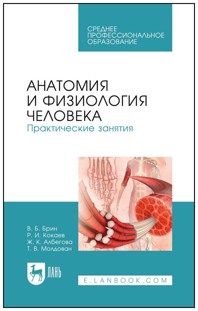 Анатомия и физиология человека. Практические занятия. Учебное пособие - фото №1