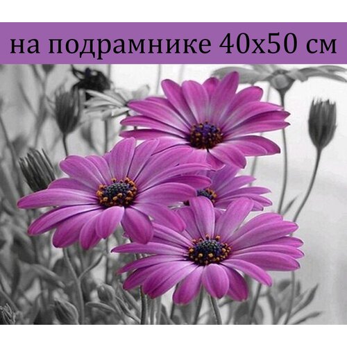 Алмазная мозаика на подрамнике 40х50 Цветы, Алмазная живопись 50х40 с круглыми стразами полная выкладка, картина стразами