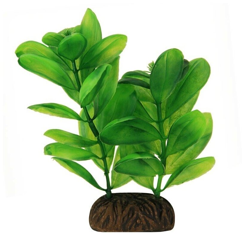 Растение 1363 "Самолюс" зеленый, 100мм, (пакет)