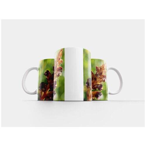 фото Кружка "кроваво-красный летний корень, полевой цветок, апельсин" 320 мл lotsprints