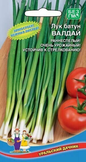 Лук батун Валдай 05 грамм Уральский дачник