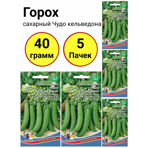 Горох сахарный Чудо кельведона 8 грамм, Уральский дачник - 5 пачек