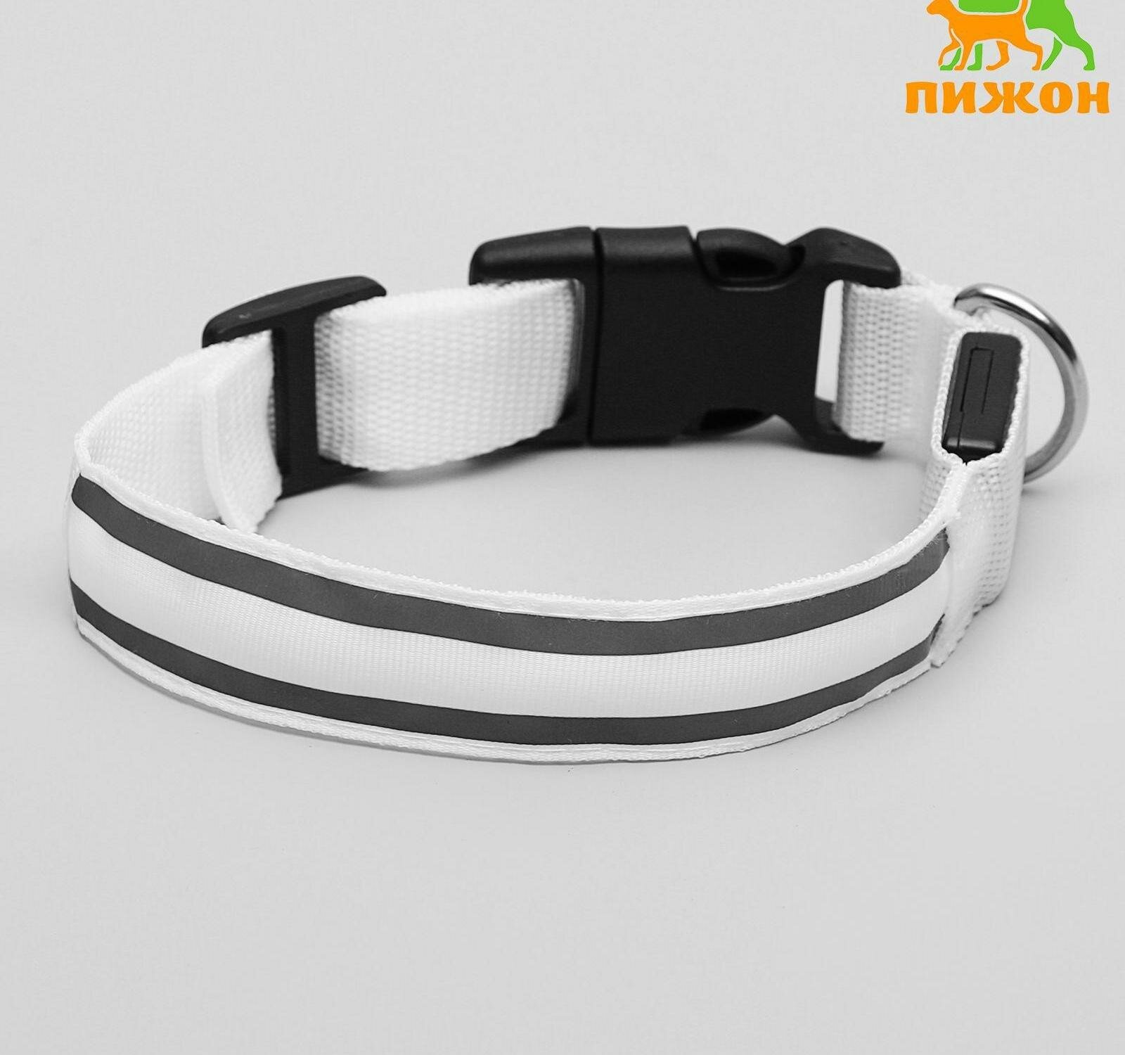 фото Ошейник с подсветкой Двойная полоса размер S, ОШ 35-43 х 2,5 см, 3 режима свечения белый