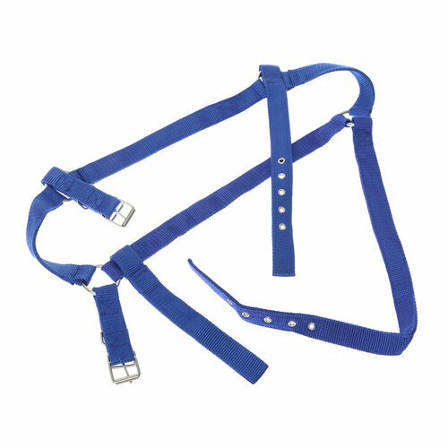 Недоуздок из нейлона регулируемый размер темно-синий 690₽