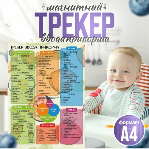 Магнитный трекер ввода прикорма по месяцам для малышей 380₽