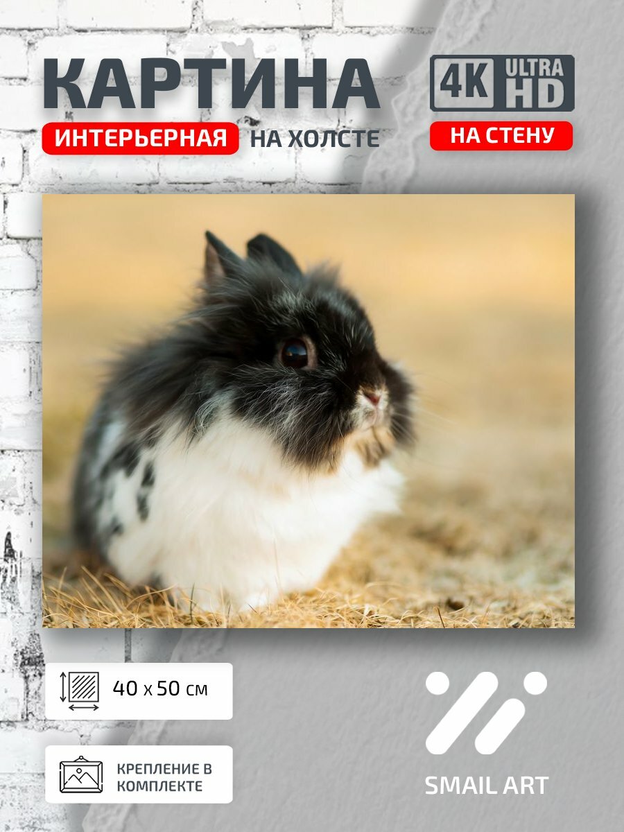 Картина на холсте интерьерная 40 на 50 на стену Кролик Mood для кабинета атмосфера интерьер