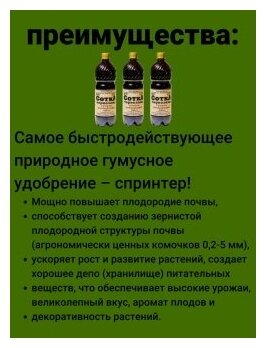 СоткА чернозема гумуса плодородия Гуми 20 гумусное удобрение спринтер. Набор 3 бутылки по 1 л. Подкормка для растений ОЖЗ Кузнецова - фотография № 3