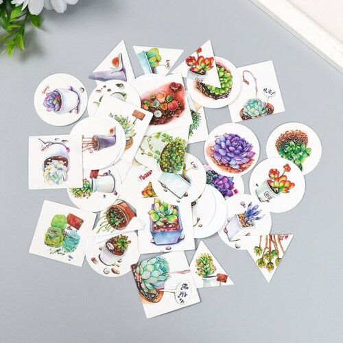 Набор наклеек Суккуленты 40 шт в коробочке 38х38 см 1шт 357₽