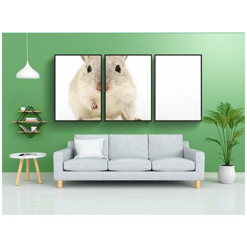 фото Набор модулных постеров для интерьера "животное, привлекательный, красивая" 60x90 см. в тубусе, без рамки lotsprints