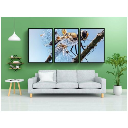 фото Набор модулных постеров для интерьера "стрекоза, насекомое, природа" 60x90 см. в тубусе, без рамки lotsprints