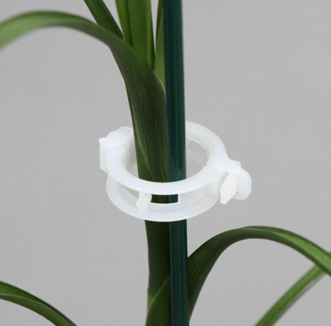 Клипса, держатель для подвязки растений д. 15 мм, набор 50 шт. - фотография № 2