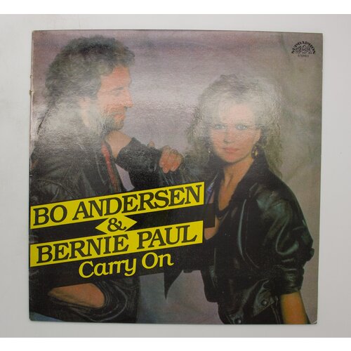 Виниловая пластинка Bo Andersen & Bernie Paul Carry On - andersen kurt evil geniuses