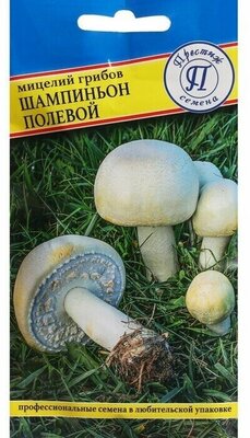 Шампиньон Полевой (мицелий грибов). Один из лучших по вкусовым качествам деликатесный гриб