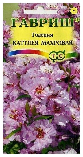 Семена Гавриш Устойчив к заморозкам! Годеция Каттлея махровая 0,1 г, 10 уп.