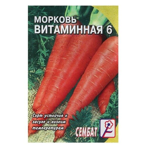 Семена Морковь Витаминная 6, 1 г