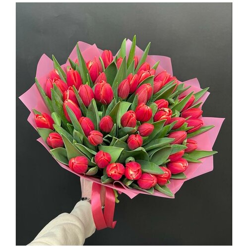 Красно-розовые тюльпаны 51 шт