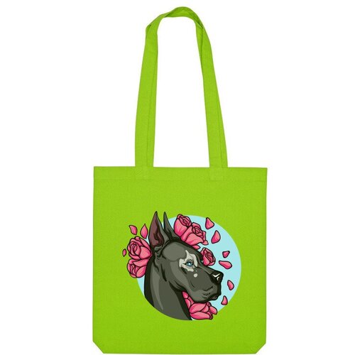 фото Сумка us basic, зеленый