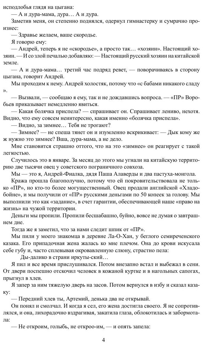 Книга Рейд Черного Жука (Макаров Иван Иванович, Горяйнов Алексей Георгиевич) - фото №3