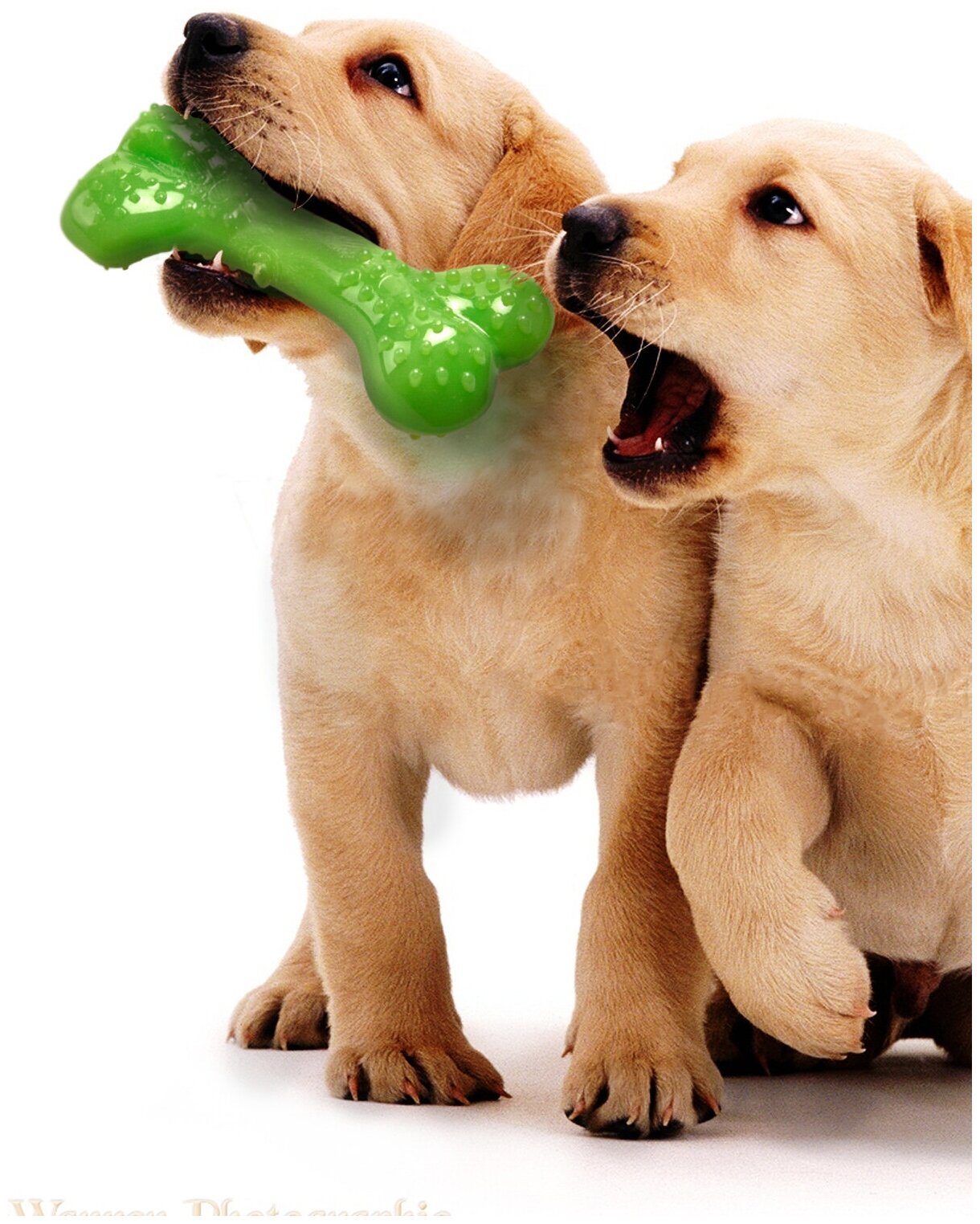 Игрушка для собак COMFY by AQUAEL MINT Косточка с ароматом мяты, 12.5 см, зеленая - фотография № 3