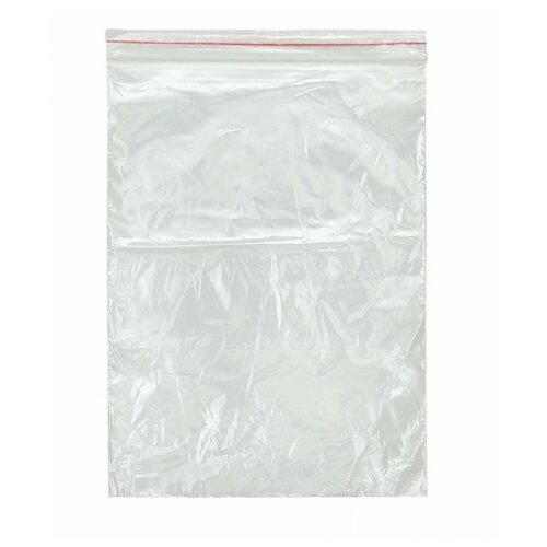 Пакет Зип-Лок 20*30см, 30мкм, 100 шт.